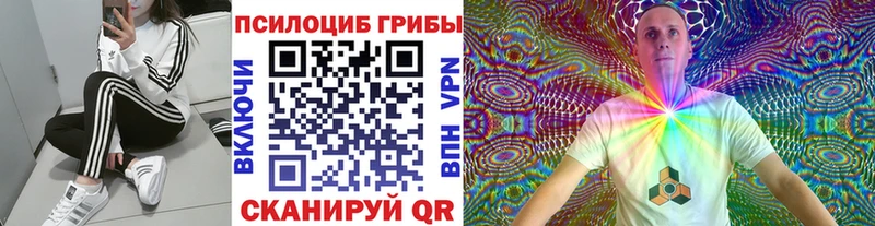 даркнет сайт  Нестеровская  Псилоцибиновые грибы мицелий 